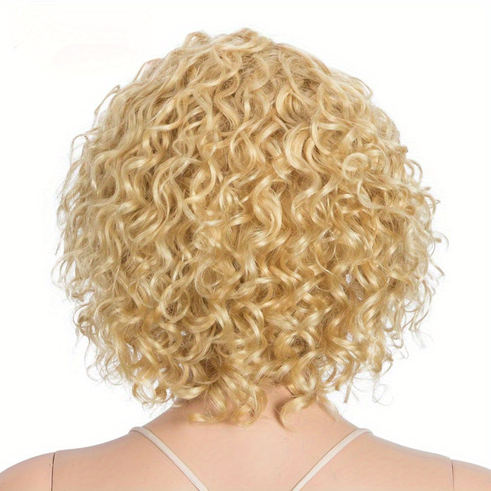 10" Human Hair Afro Wigs Short Curly Wigs for Black Women Lace Front Side Part Wigs (10 Inch, 613)