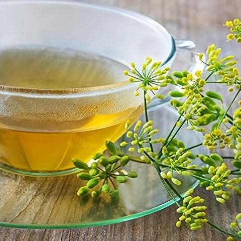 TEARELAE - Fennel Tea - Caffeine-free Tea - Premium Whole Fennel Seeds Tea Bags - 8.47 oz (4g X 60 Bags)