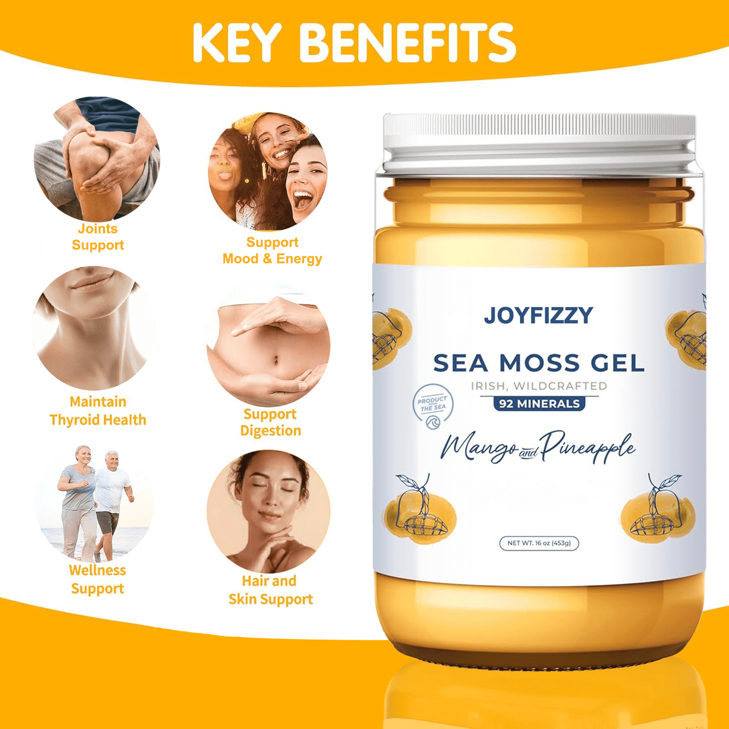 Wildcrafted Irish Sea Moss Gel - Seamoss, Gut Health (MANGO/PINEAPPLE, Pack of 1)