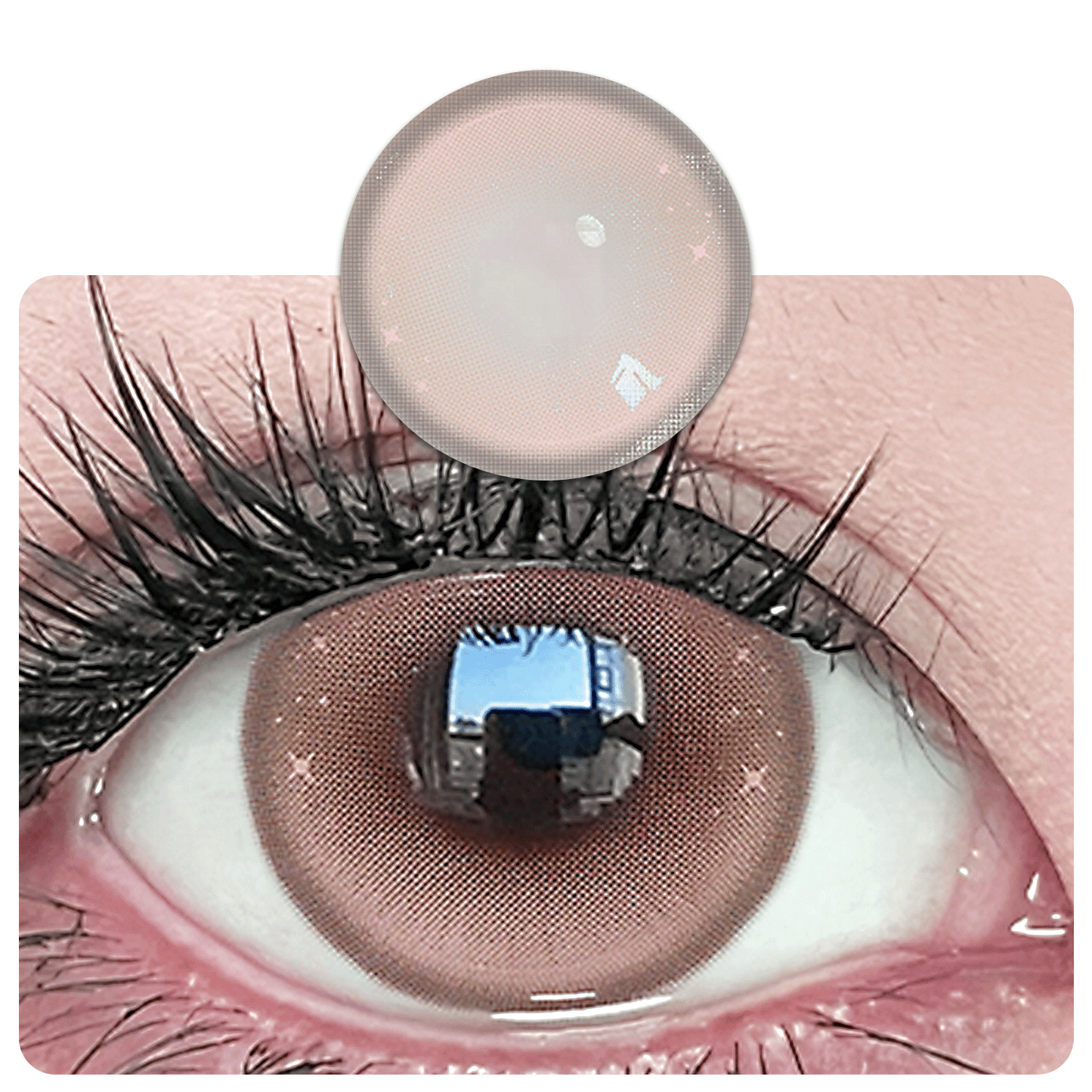 A Pair of Soft-colored Spectacle Lenses, decoration