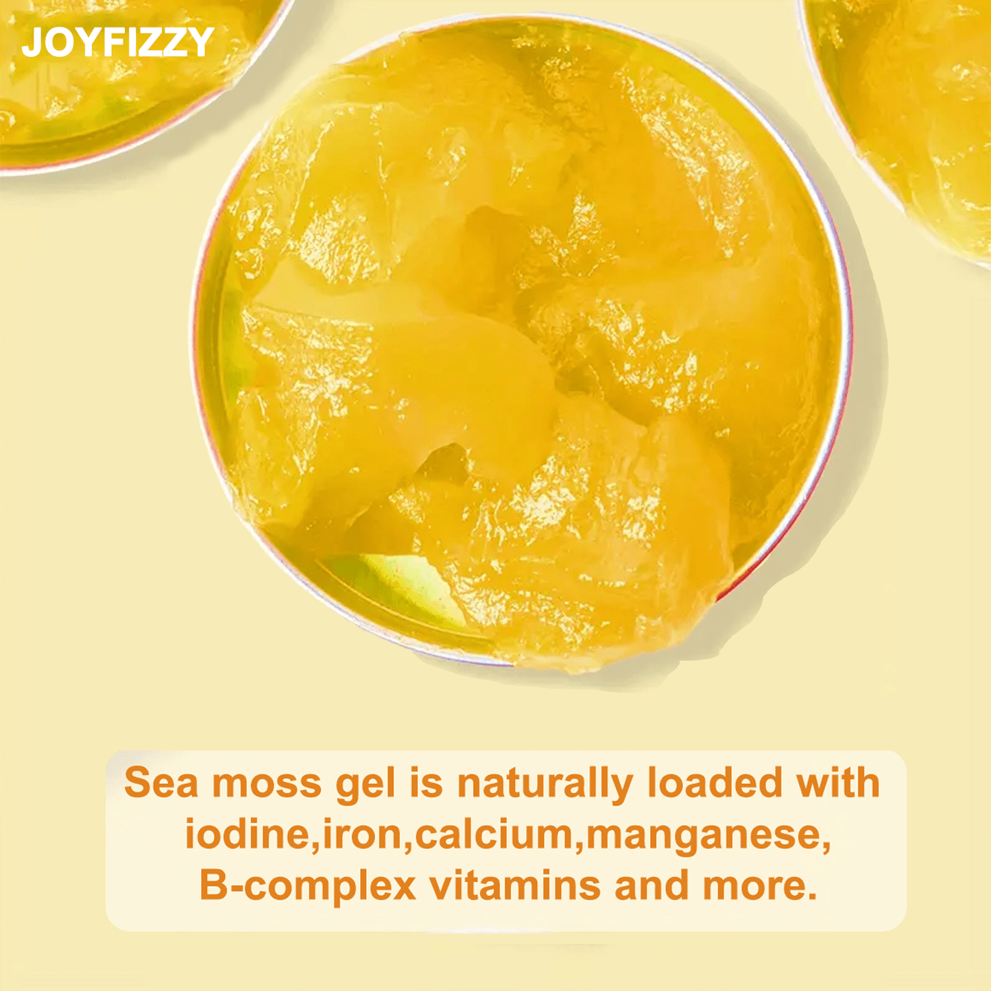 Wildcrafted Irish Sea Moss Gel - Seamoss, Gut Health (MANGO/PINEAPPLE, Pack of 1)