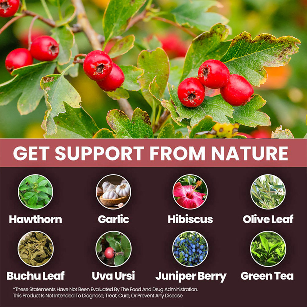 Blood Pressure Support - with Vitamins C, B6 & B12 - Supports Blood Pressure, Heart & Circulatory System - 120
