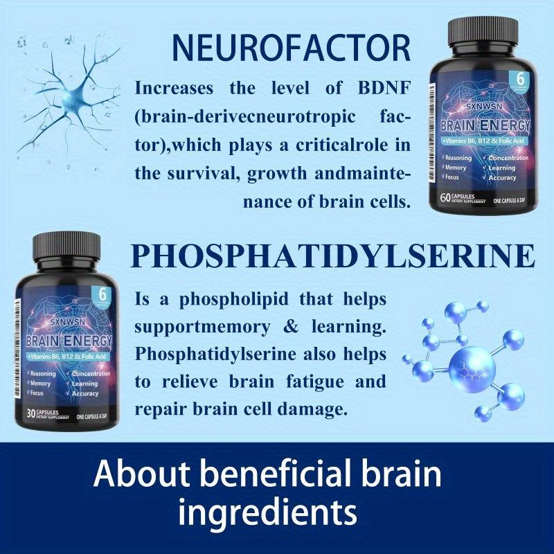SNWS Brain Energy Supplement with Vitamins B6 & B12 - Focus, Memory & Learning Enhancer, 60 Capsules, Improves Attention, Accuracy & Reasoning, Non-Toxic Formula for Daily Use