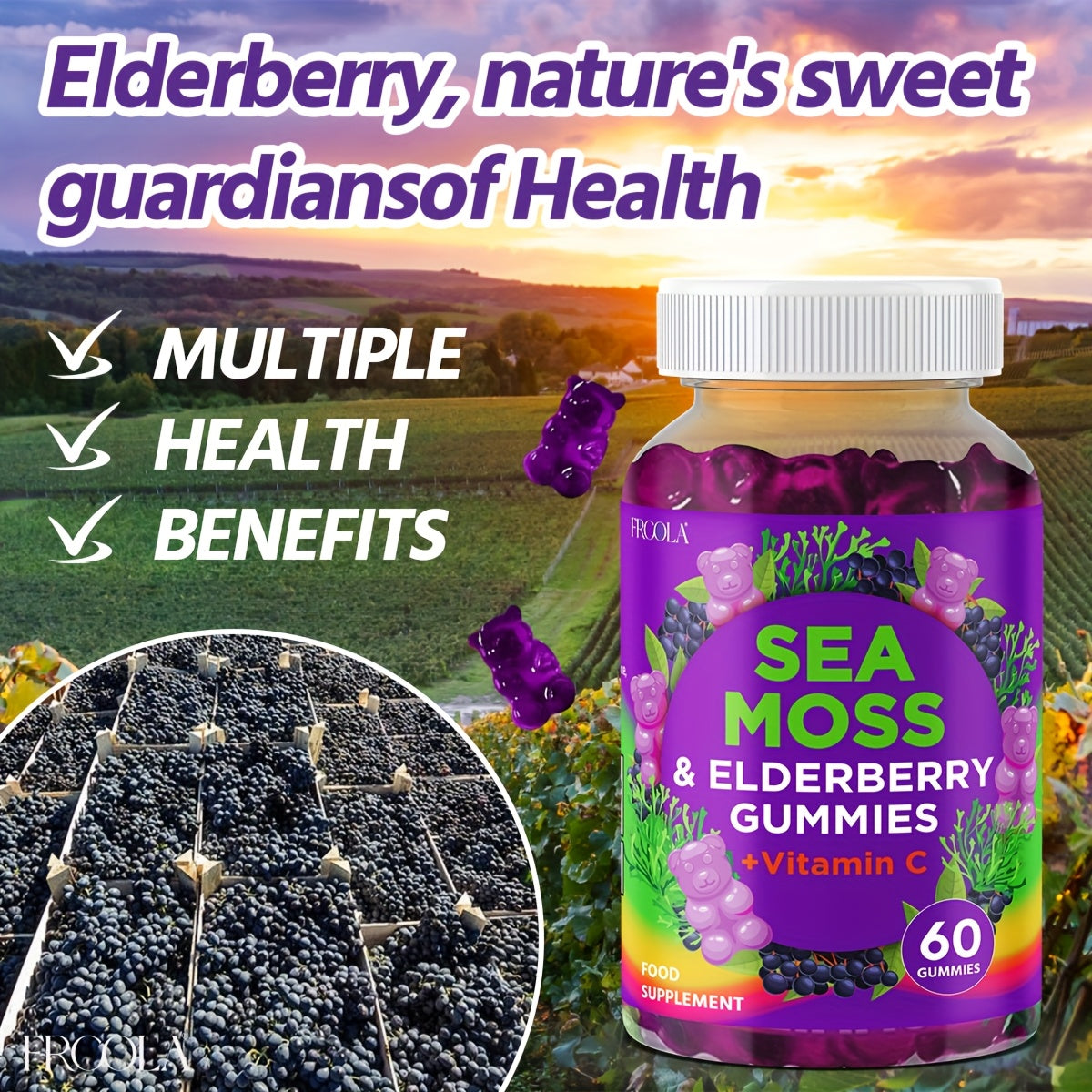 [Sea Moss Gummies] 60 Sea Moss & Elderberry Gummies | 71850mg Upgrade Formula- Sea Moss, Black Elderberry, Vitamin C And Zinc