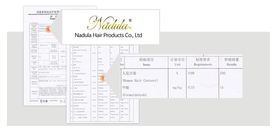 Nadula Highlights Blonde Human Hair Wig with Face-Framing Loose Wave 7x5 Pre Cut HD Transparent Lace Glueless Wig 100% Human Hair Pre Bleached Knots Pre Plucked Put and Go Drawstring Wig for All Heads Sizes Last More Than 1 Y