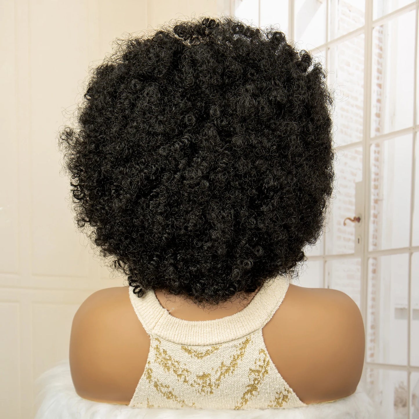 Full Lace Afro Braided Wig for Women African Wig Cornrow Braids Lace Wig with Baby Hair 8 Inch Short Kinky Curly Braid Wigs
