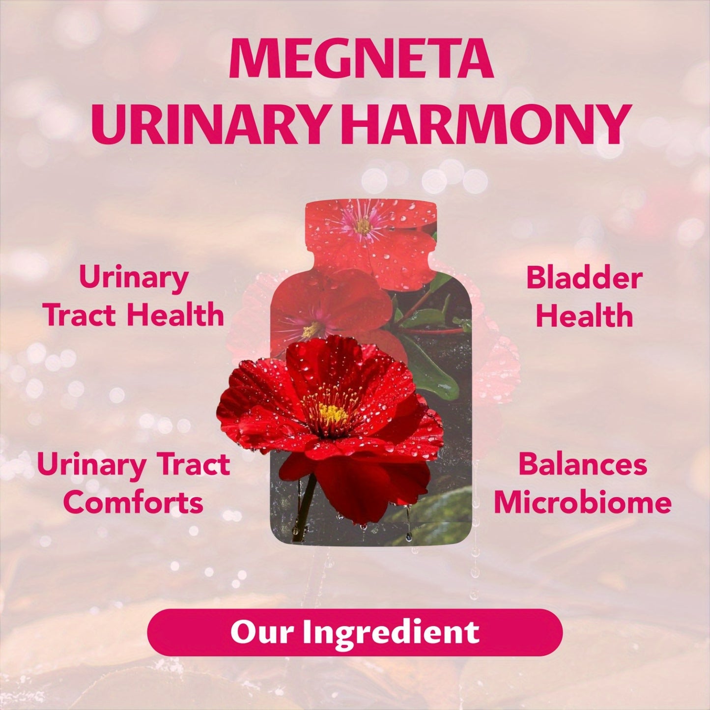 Megneta D-Mannose, Urinary Tract & Bladder Health with Cranberry, Hibiscus Flower & Dandelion, Urinary Tract Health for Women, Cleanse and Flush Impurities, UTI Supplement, 60 Capsules